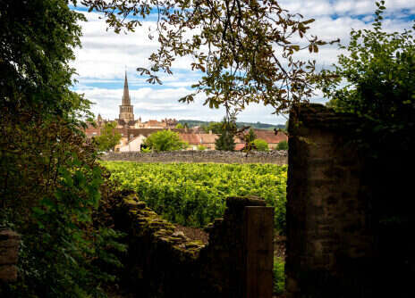 2023 Burgundy tasting notes: Côte de Beaune—Meursault