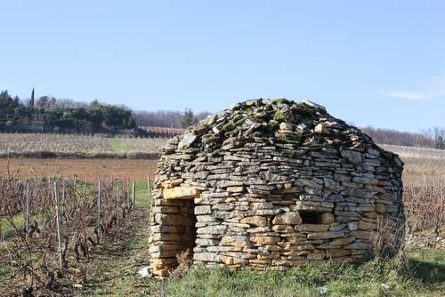2023 Burgundy tasting notes: Beaujolais