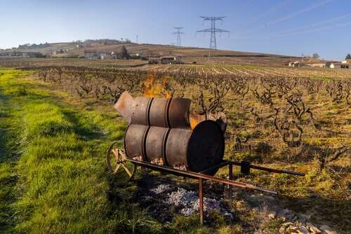 2023 Burgundy tasting notes: Côte Chalonnaise