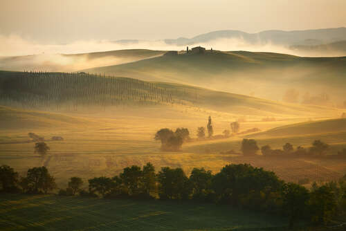 2020 Brunello di Montalcino: Mixed results 2020 Brunello di Montalcino: Mixed results