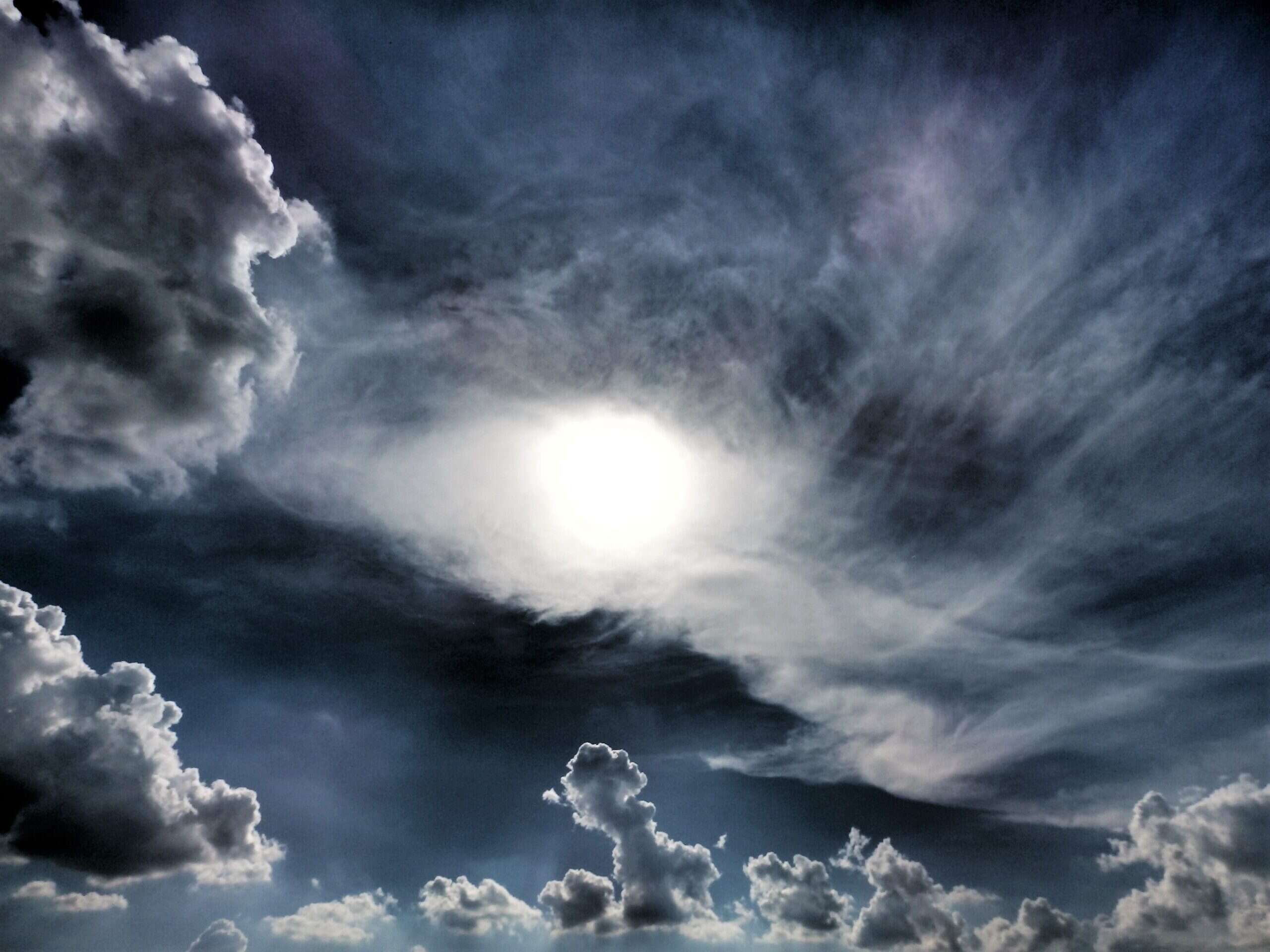 Liquid Assets: Fine wine in the eye of the storm Liquid Assets: Fine wine in the eye of the storm