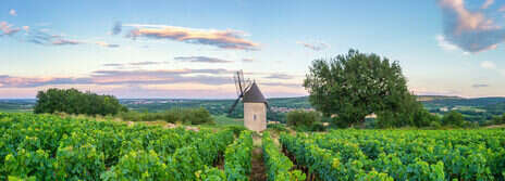 2023 Burgundy tasting notes: Côte de Beaune—Santenay and Cheilly-lès-Maranges