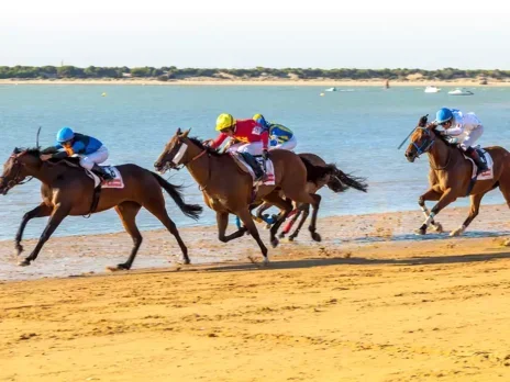 From the vaults: Hidalgo—a Sanlúcar story From the vaults: Hidalgo—a Sanlúcar story
