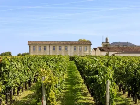 2023 Bordeaux Field notes: Mixed blessings