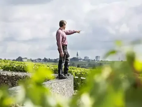 The wines of Gunter Künstler and the value of interesting friends The wines of Gunter Künstler and the value of interesting friends