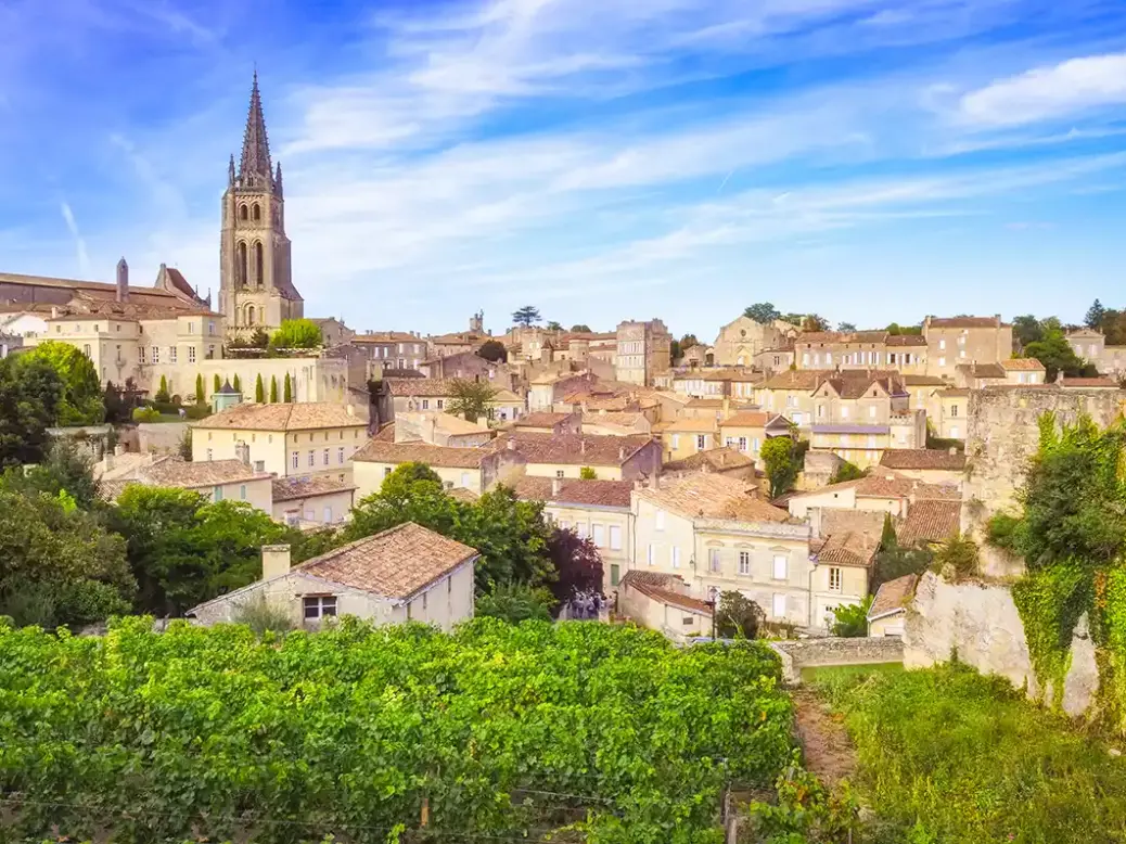 2023 Bordeaux St-Emilion vineyards