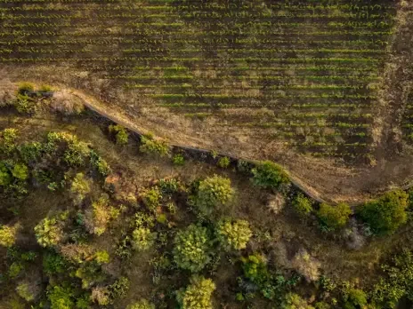 Gaja, Graci, Etna … Idda