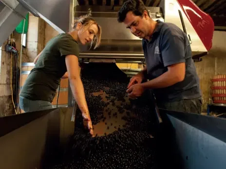 Comte Liger-Belair 2020 and 2021: Different in character but equally remarkable Comte Liger-Belair 2020 and 2021: Different in character but equally remarkable