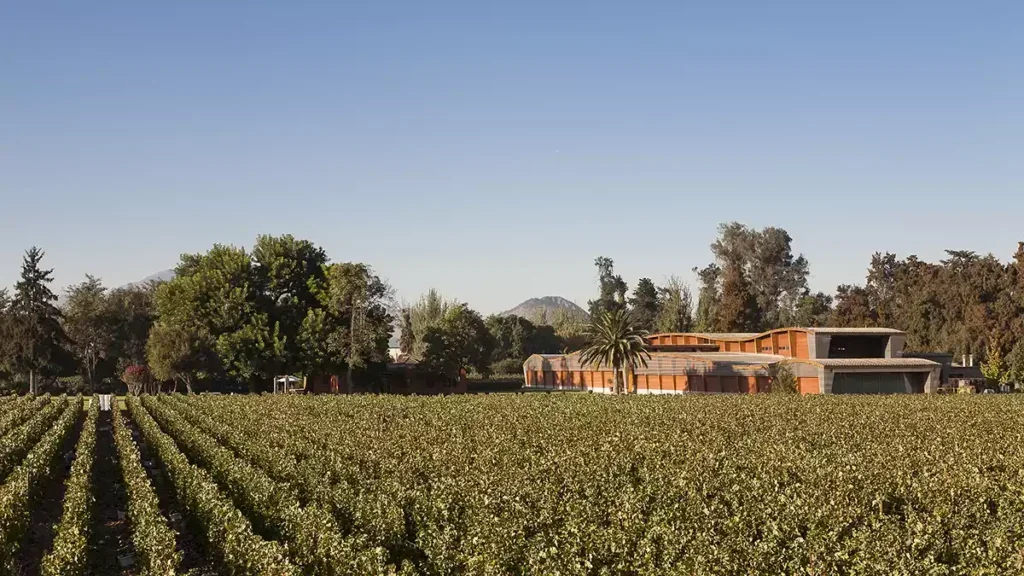 The Almaviva winery amid some of its vines.
